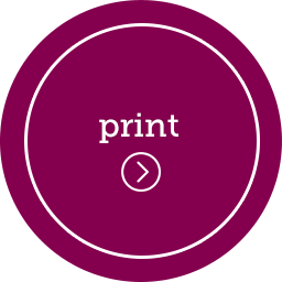 print icon